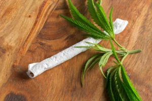 Efectes del cànnabis: anàlisis de la salud mental i física
